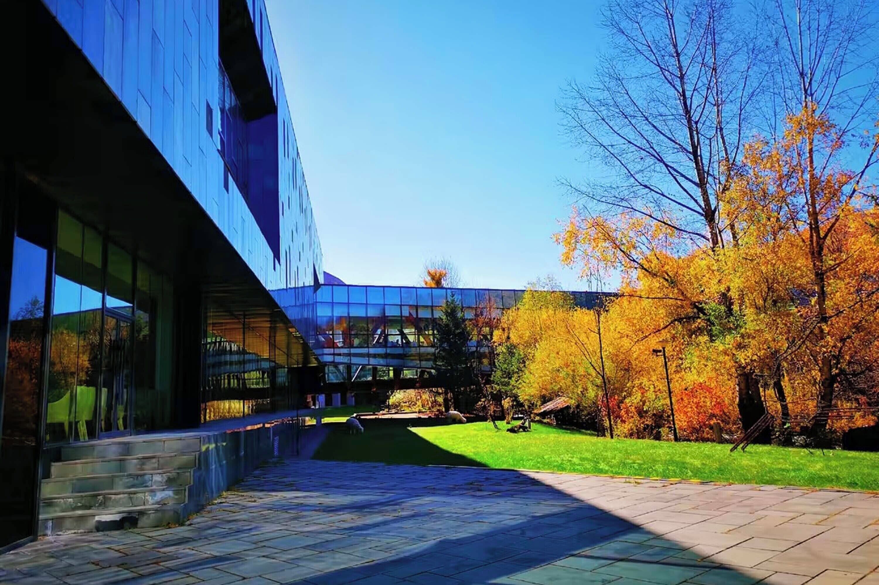 A modern building with large glass windows, a paved walkway, and a grassy area with trees displaying autumn foliage.