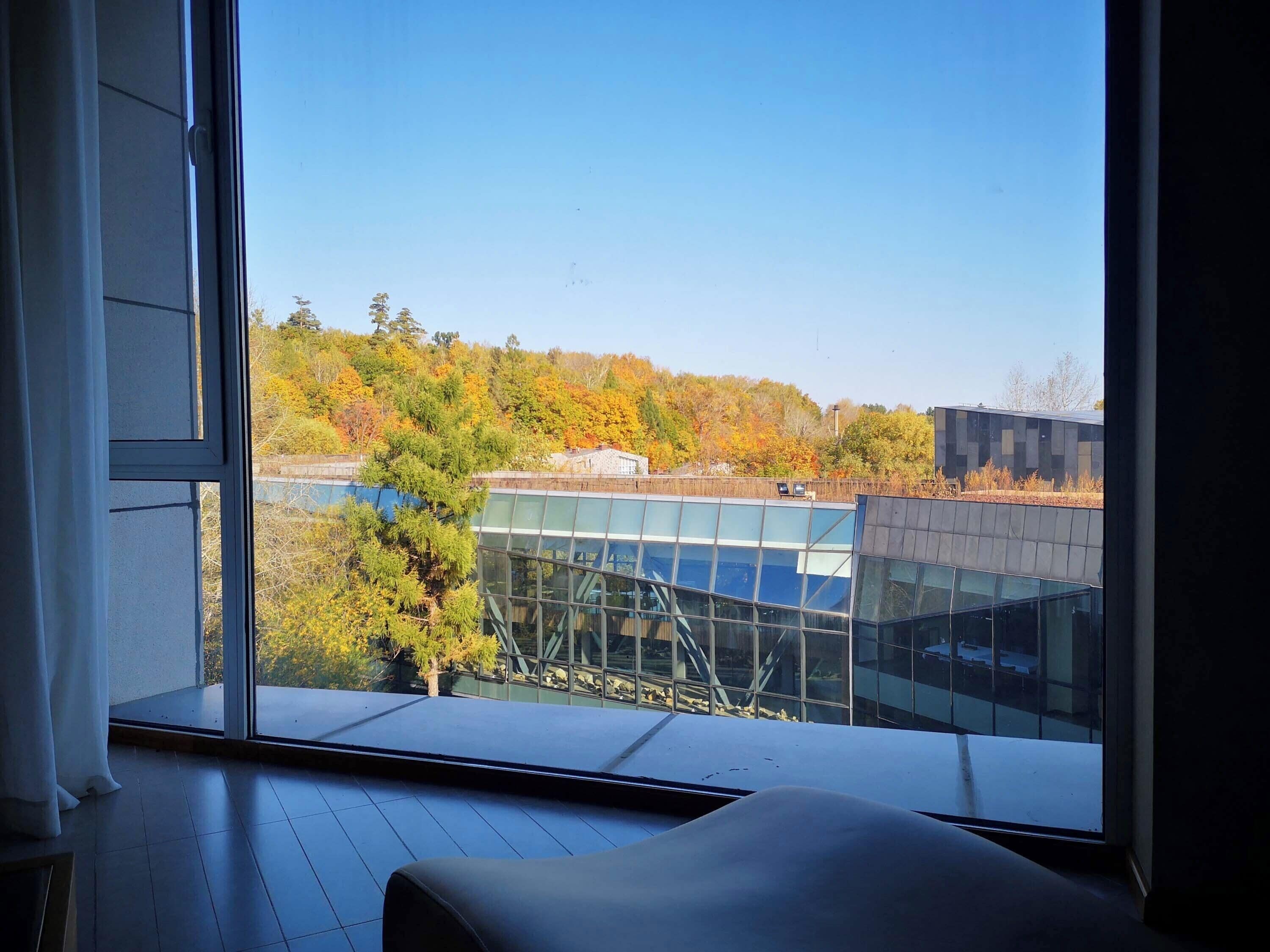 A room with a large window offering a view of a modern building and autumn foliage.