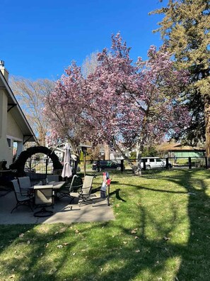 独立别墅, 无障碍 | 4 多间卧室