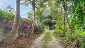 A narrow dirt path flanked by lush greenery and a chain-link fence. - Gateway to the Everglades! Tropical Jungle Cottage (Miami)