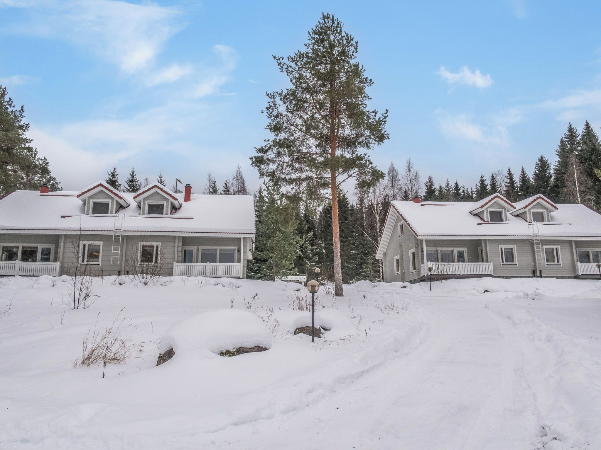 Eksteriør