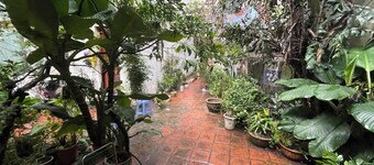 Ba Dinh Le rêveur Homestay