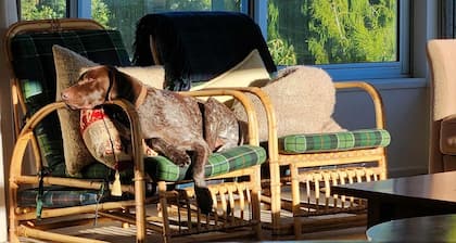 The Bach - Holiday house at Lake Rotoiti in the Bay of Plenty. Pet friendly