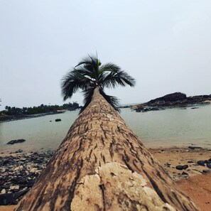 Vista frontal de la propiedad