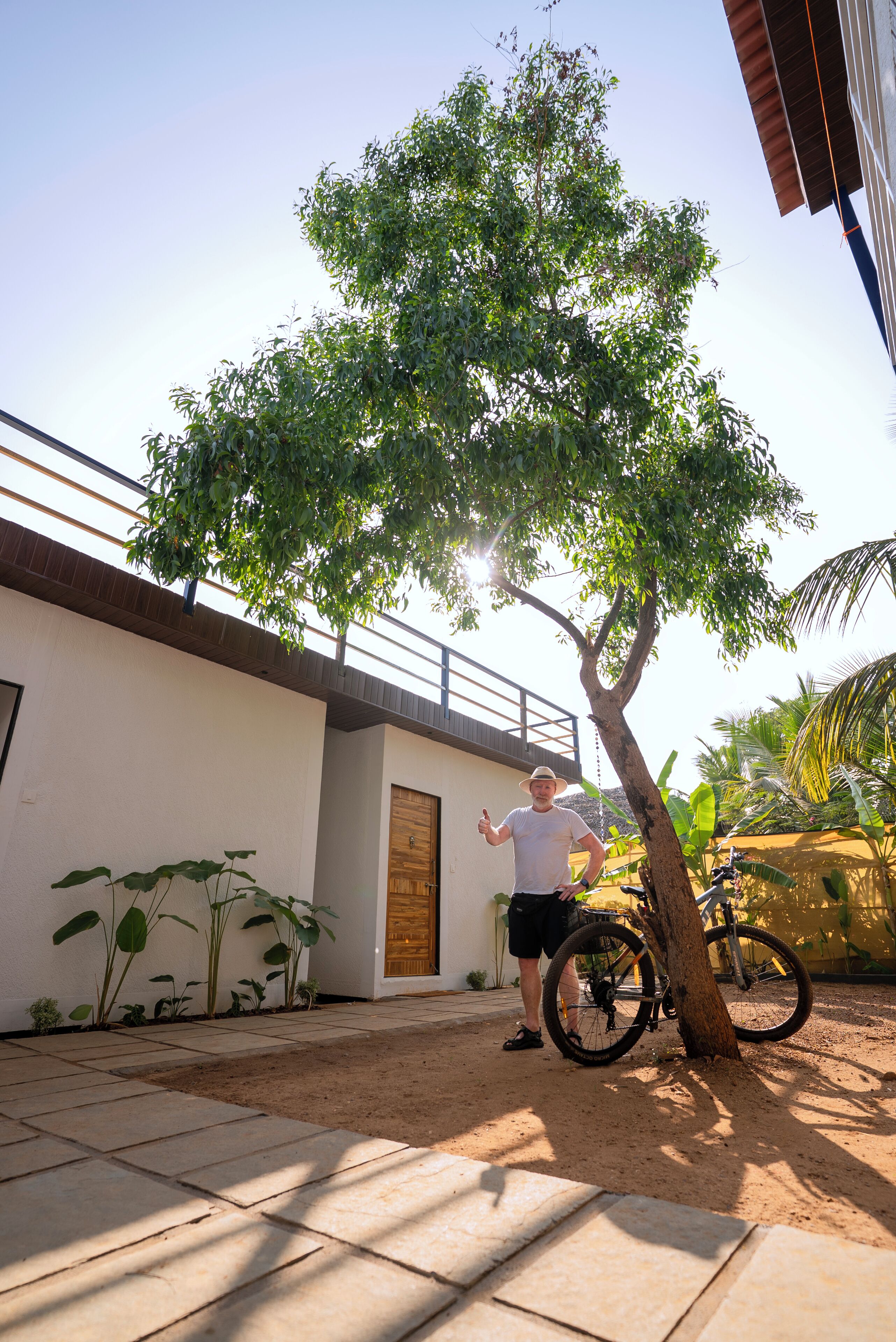 A man standing next to a tree in a courtyard with a bicycle and a building in the background.