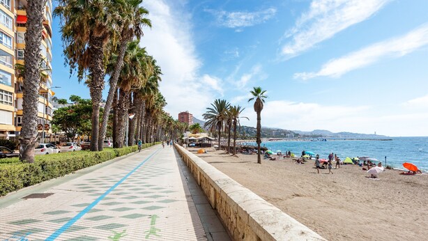 Une promenade en bord de mer avec une allée dallée, des palmiers et une plage parsemée de parasols.