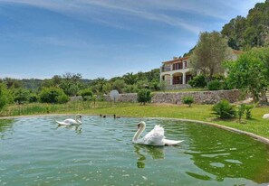 Property grounds - Villa Plomera (Pollença)