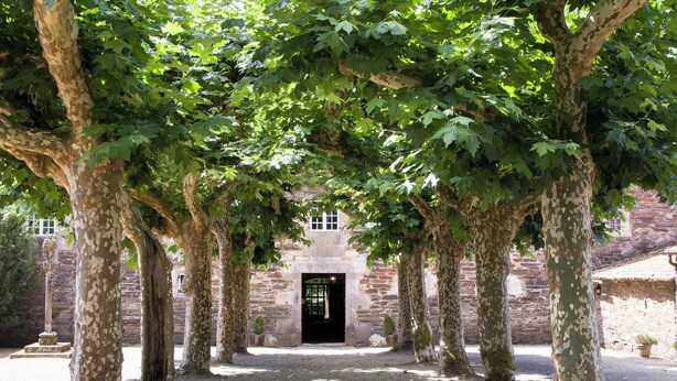 A pathway flanked by trees leading to a stone building with a black door. - Pazo de Andeade (Touro)