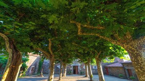 A courtyard with a stone building, trees, and a gravel path. - Pazo de Andeade (Touro)