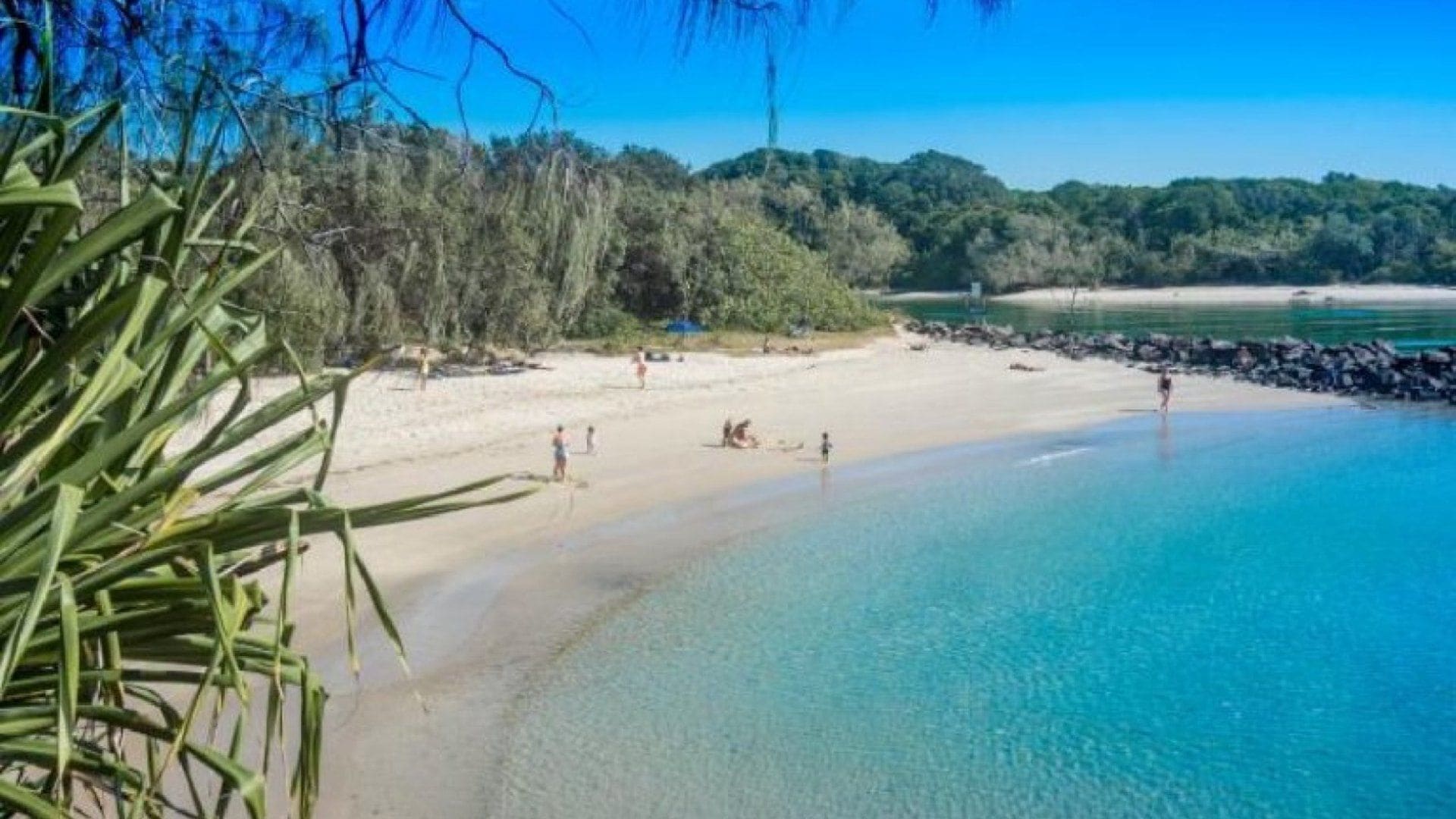 A beach with clear water, a sandy shore, and dense greenery in the background.