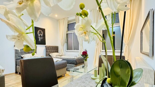 A modern living room with a glass coffee table, a sofa, and a vase with white orchids. - Stylish Studio Stay Near Augarten (Vienna)