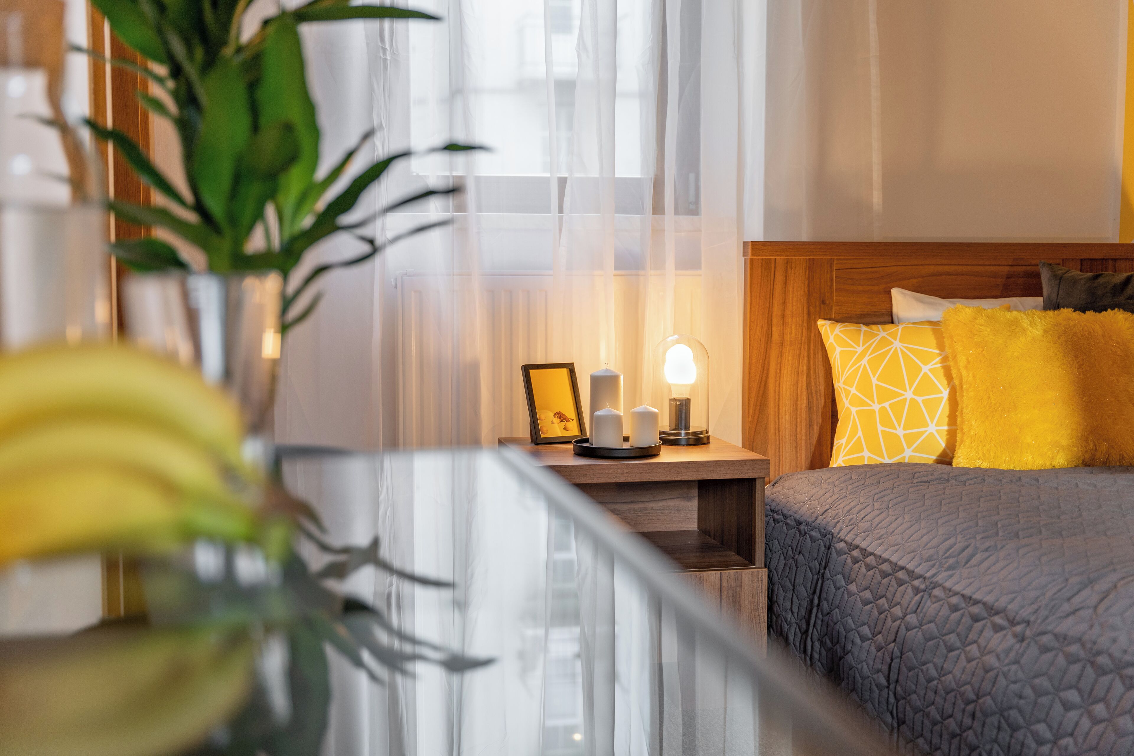 标准双床房 | 免费 WiFi