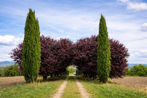 Property grounds - Scappo in Umbria, Torre Angelina (todi)