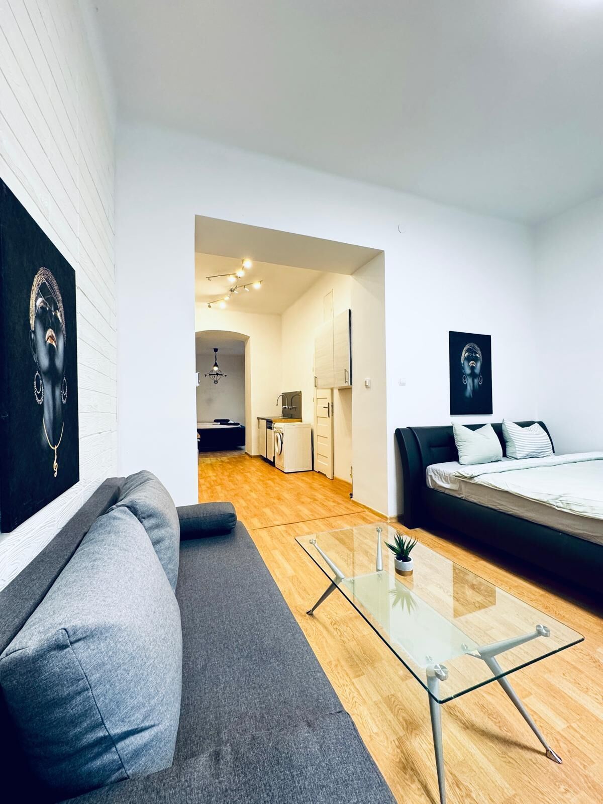 A modern living room with a sofa, a glass coffee table, and a bed. There is a kitchen in the background with a washing machine and cabinets.