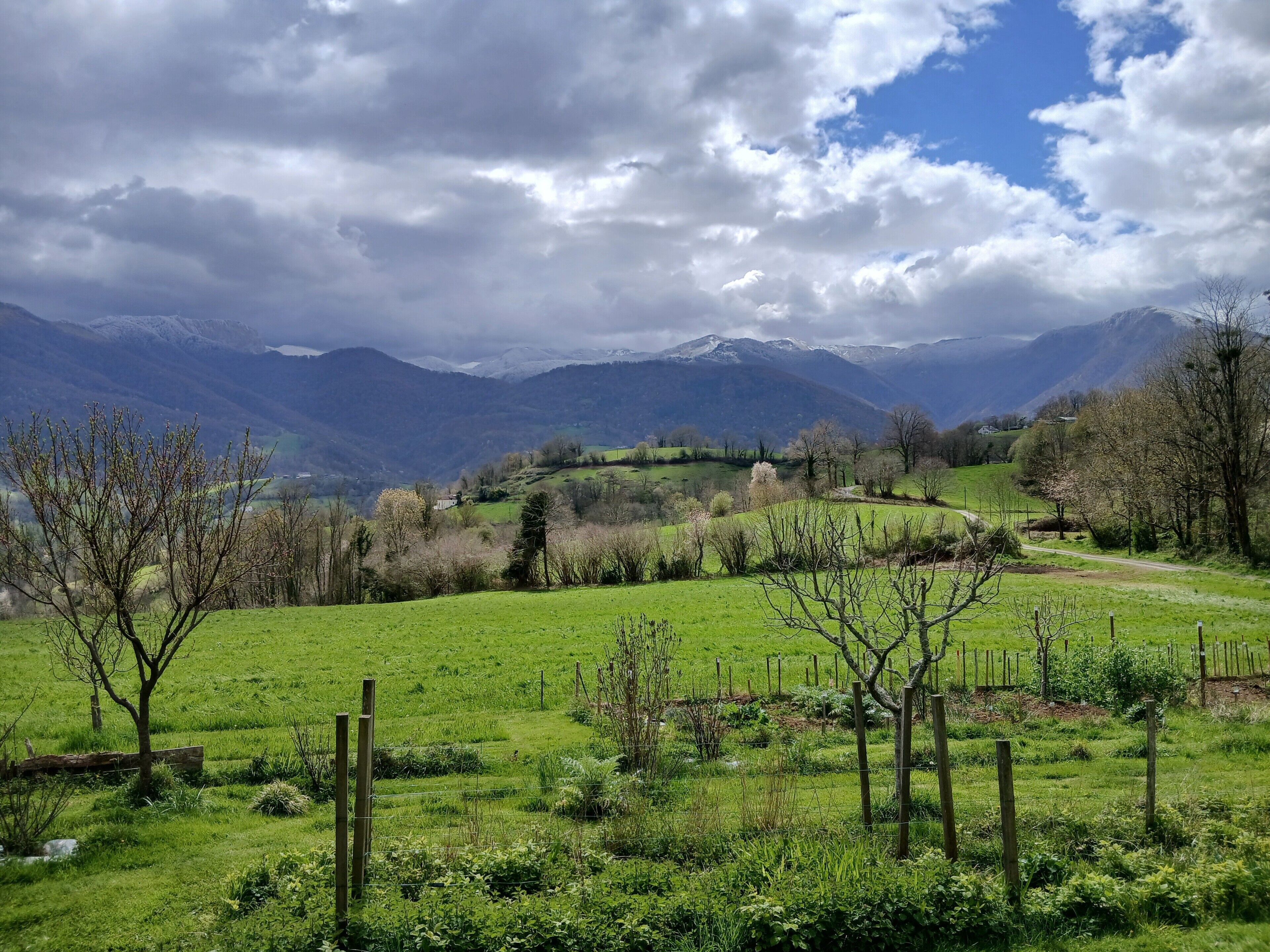 Un paysage rural avec des champs verdoyants, une clôture en bois et des montagnes à l’horizon.