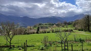 Un paysage rural avec des champs verdoyants, une clôture en bois et des montagnes à l’horizon.