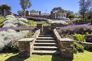 A stone staircase leading to a house surrounded by a landscaped garden with purple flowers. - illiac in Somers - absolute beachfront. (Somers)