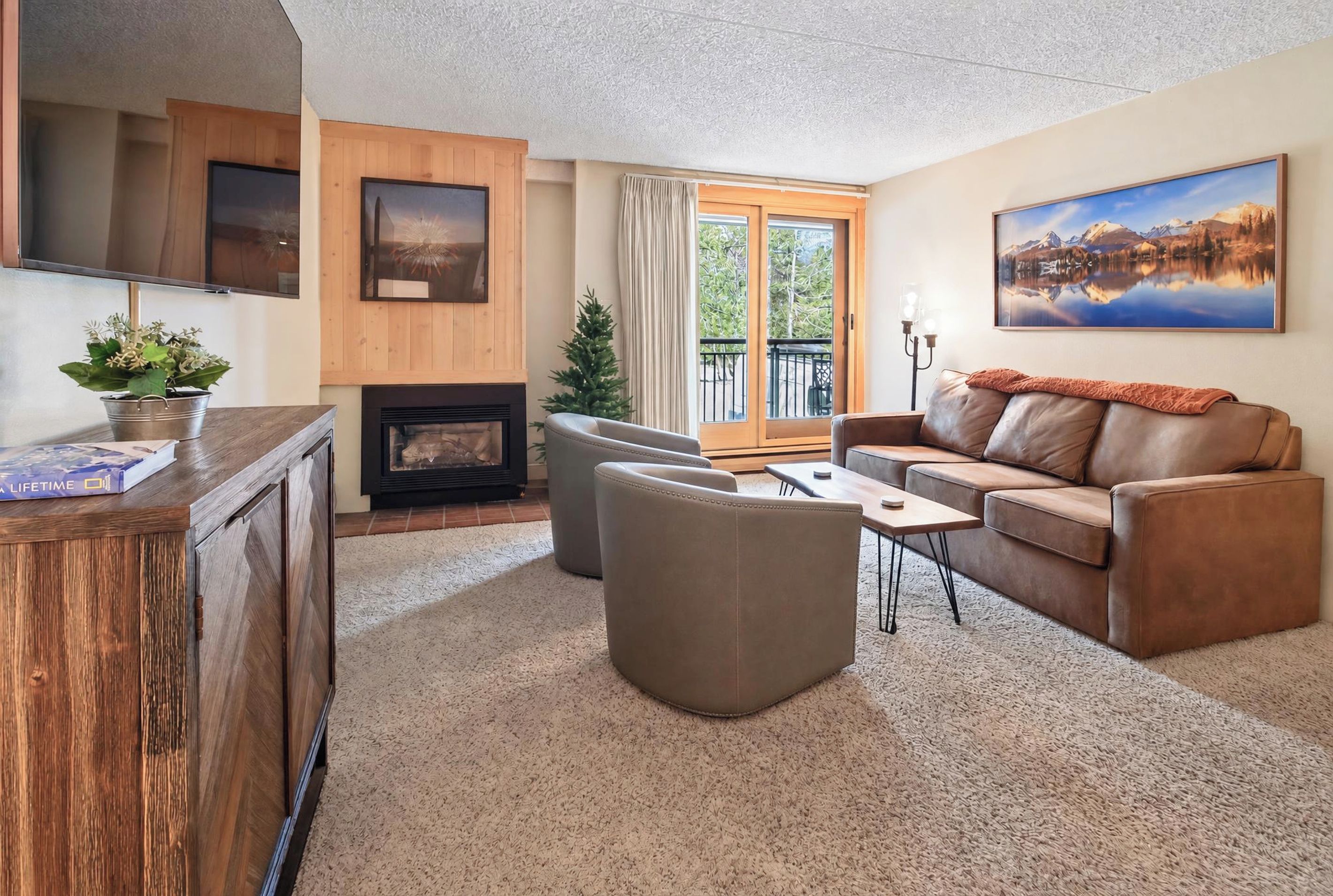 TV, fireplace