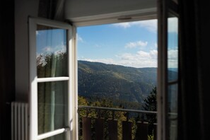 Vista desde la habitación