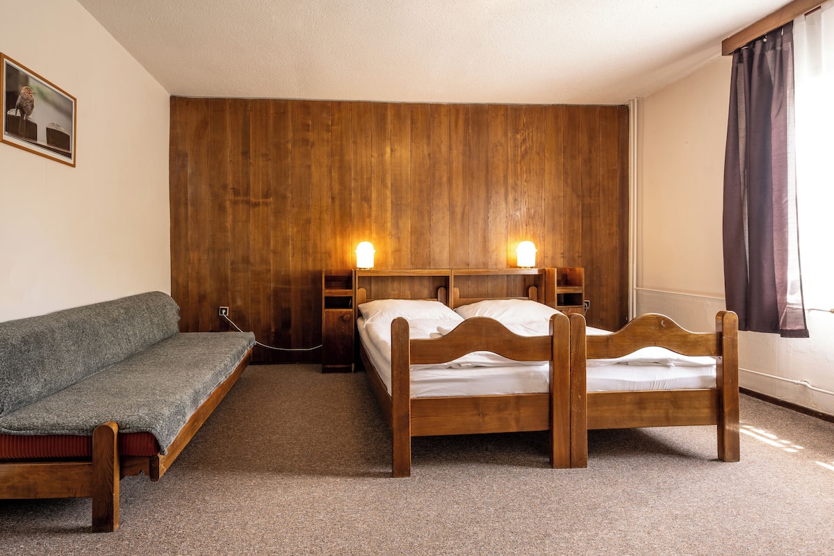 A room with a wooden bed, a sofa, and a wooden wall panel.