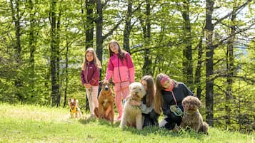 Un grupo de personas con perros en un espacio exterior con césped rodeado de árboles.