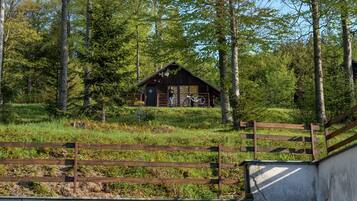 Children’s activities