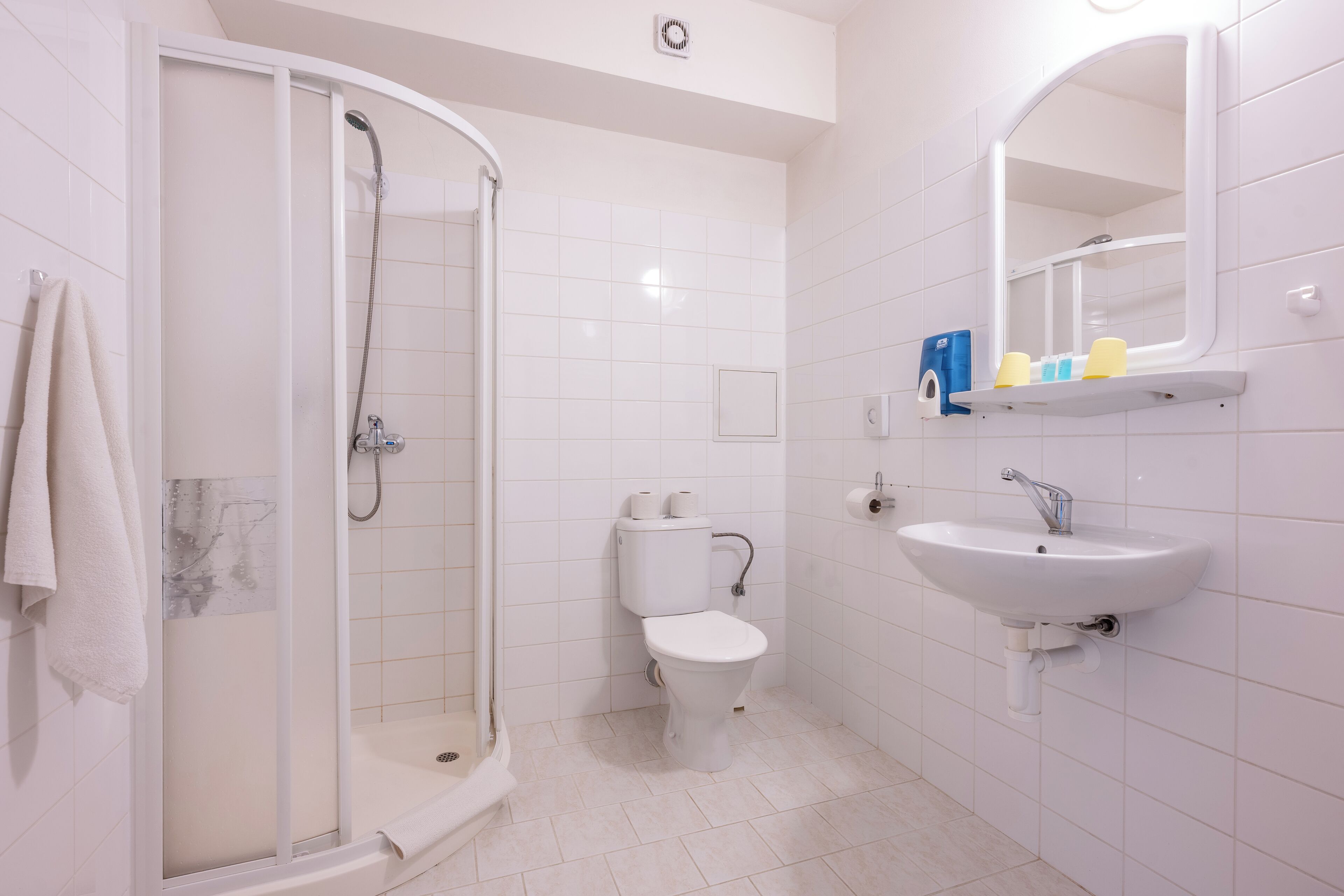 A modern bathroom with a glass-enclosed shower, a toilet, and a sink with a mirror above it.