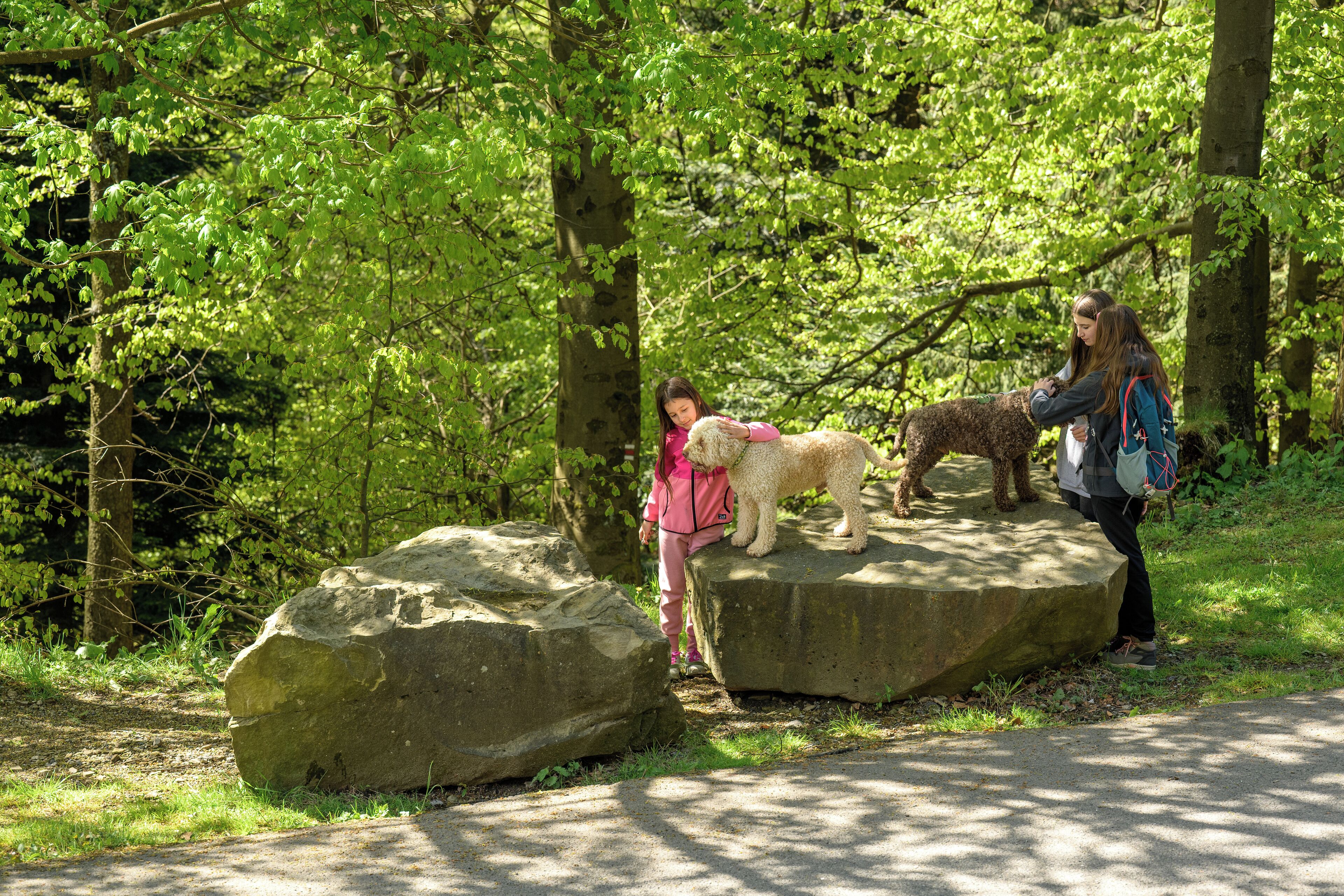 A natural setting with a large rock formation, a dog, and two people.