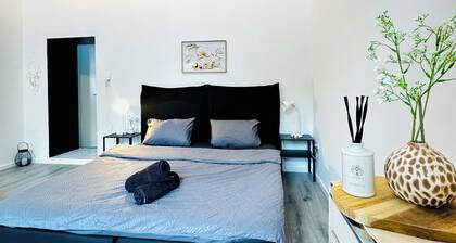 Comfortable 1BR Stay Central Vienna