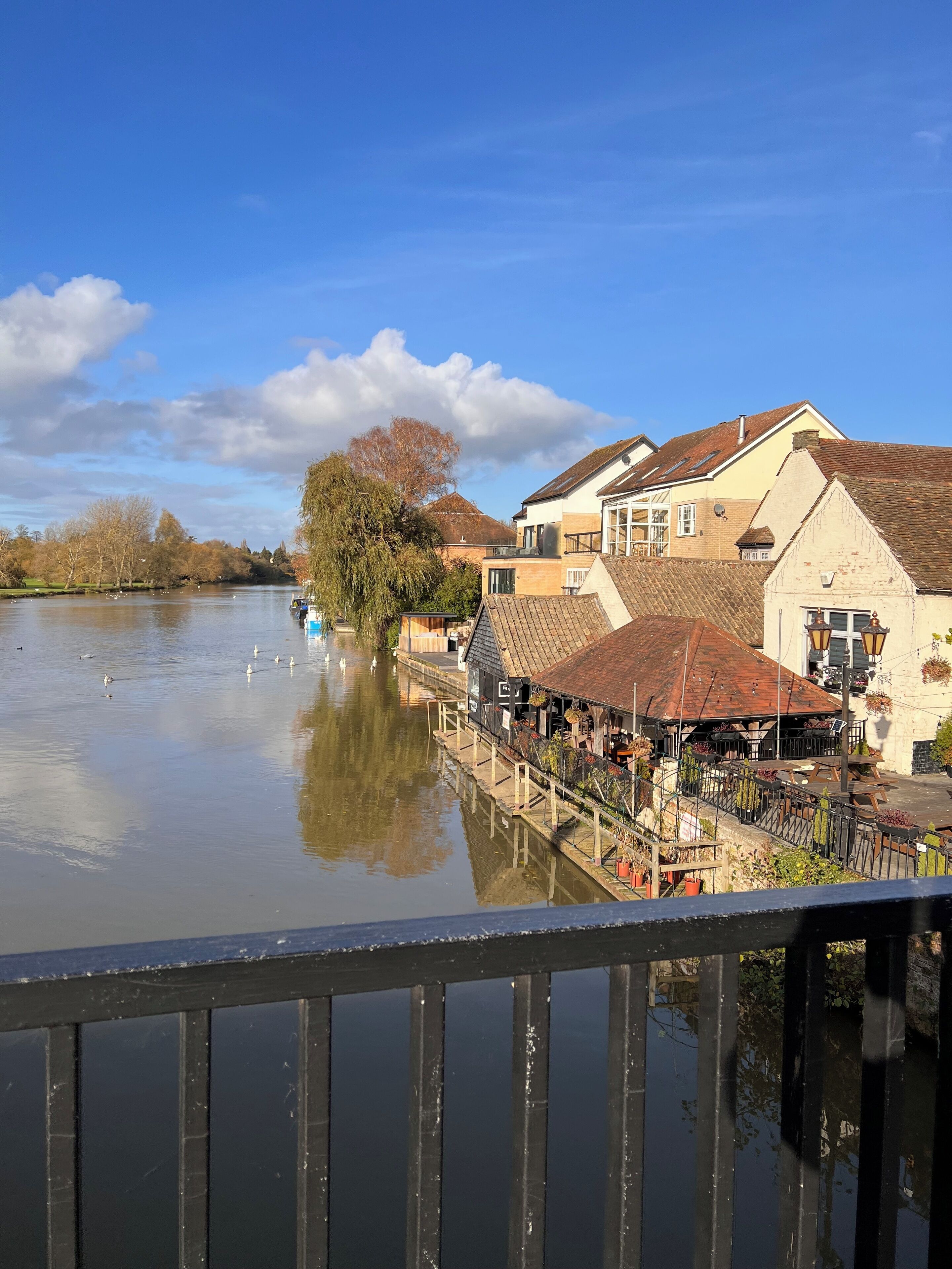 A riverside view with buildings and a dock.