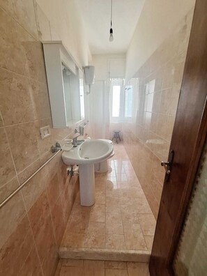 Shower, bidet, towels, soap