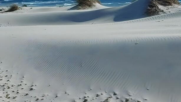 Strand