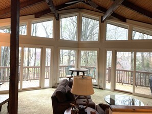 Televisión y chimenea 