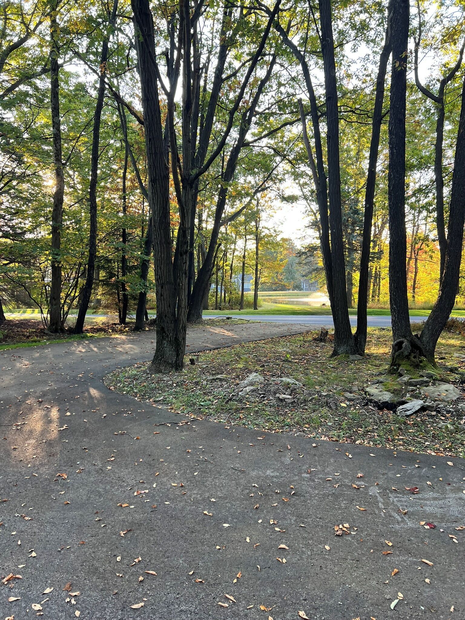 A paved path in a wooded area with trees and a grassy field in the background.