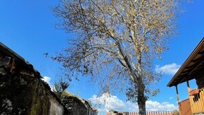 House, 3 Bedrooms, Balcony, Garden View | Property grounds - Charming Tourém Retreat 3 Bedroom House With Stunning Views (Montalegre)