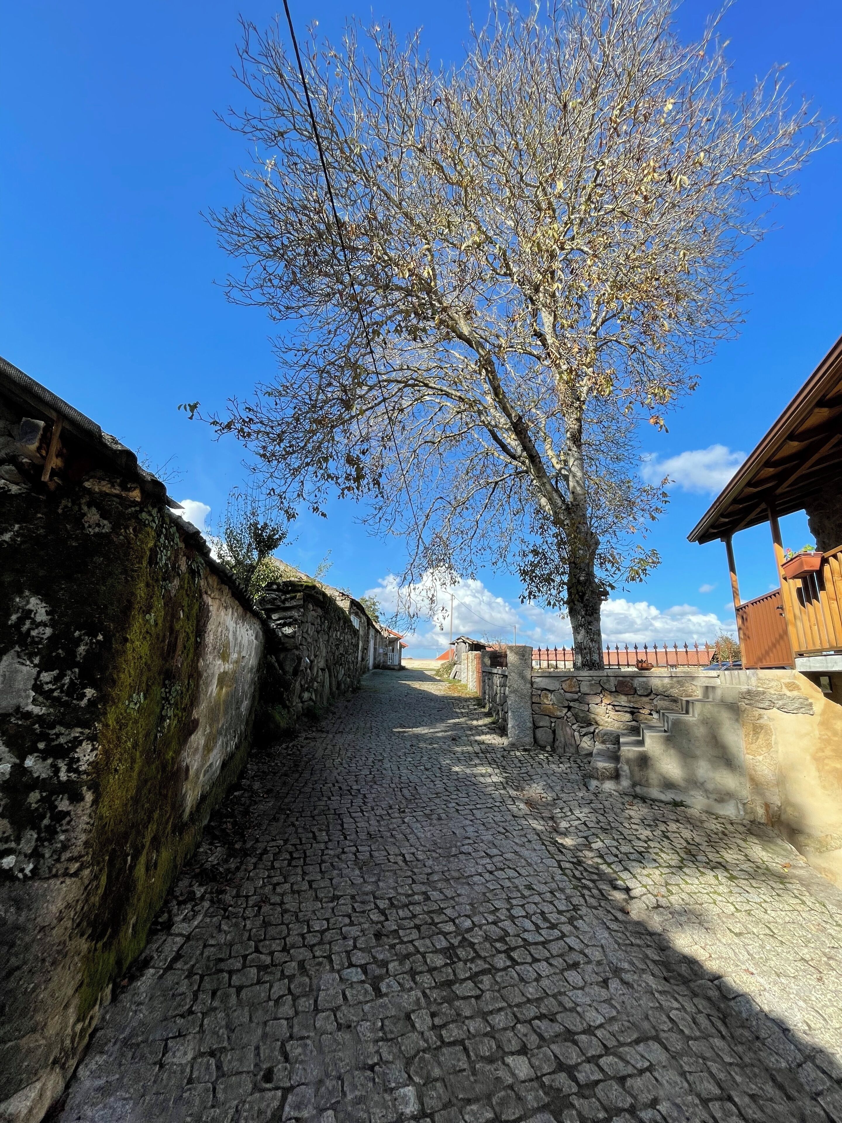 House, 3 Bedrooms, Balcony, Garden View | Property grounds