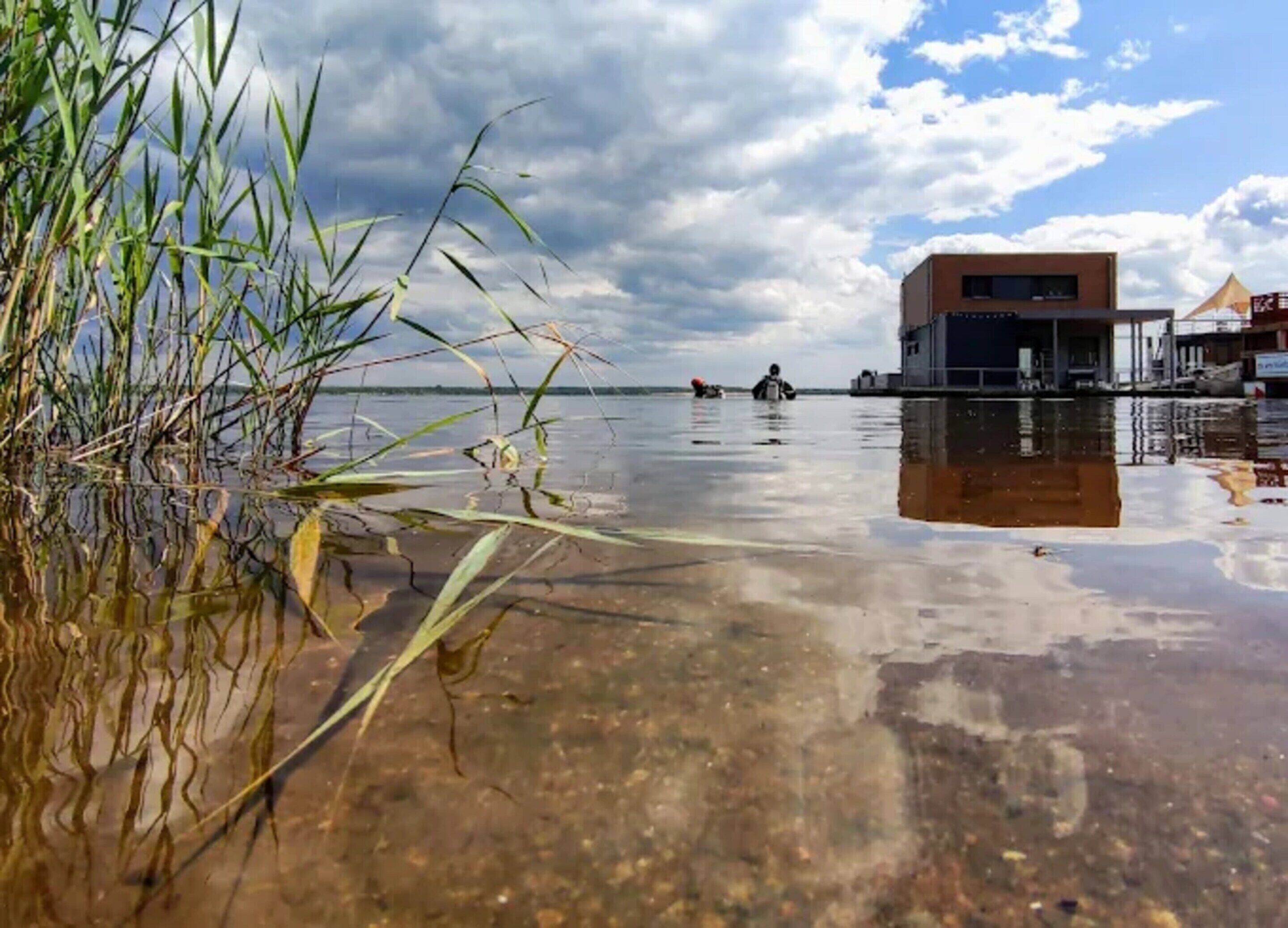 A waterfront view with a building, clear water, and grass in the foreground.