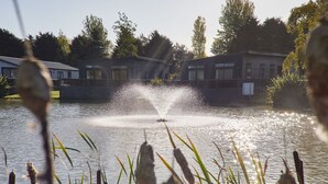 A tranquil pond with a fountain, surrounded by tall grasses and trees. - Host Stay Lakeside Retreat (York)