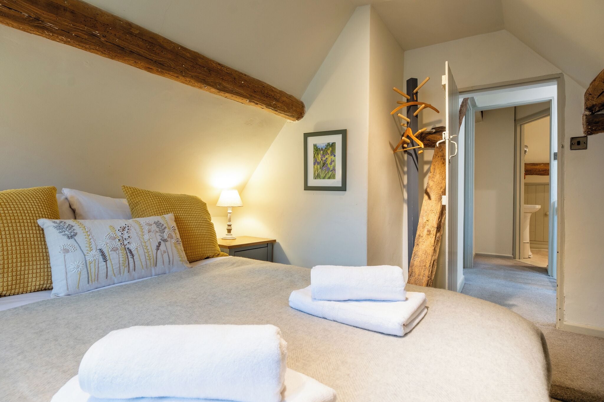 Iron/ironing board, free WiFi