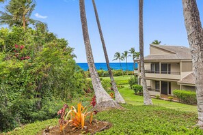 Exterior - SUMMER SALE! Hillside Condo w/ AC & Ocean Views Near Beaches-Wailea Ekolu 1605 (Kihei)