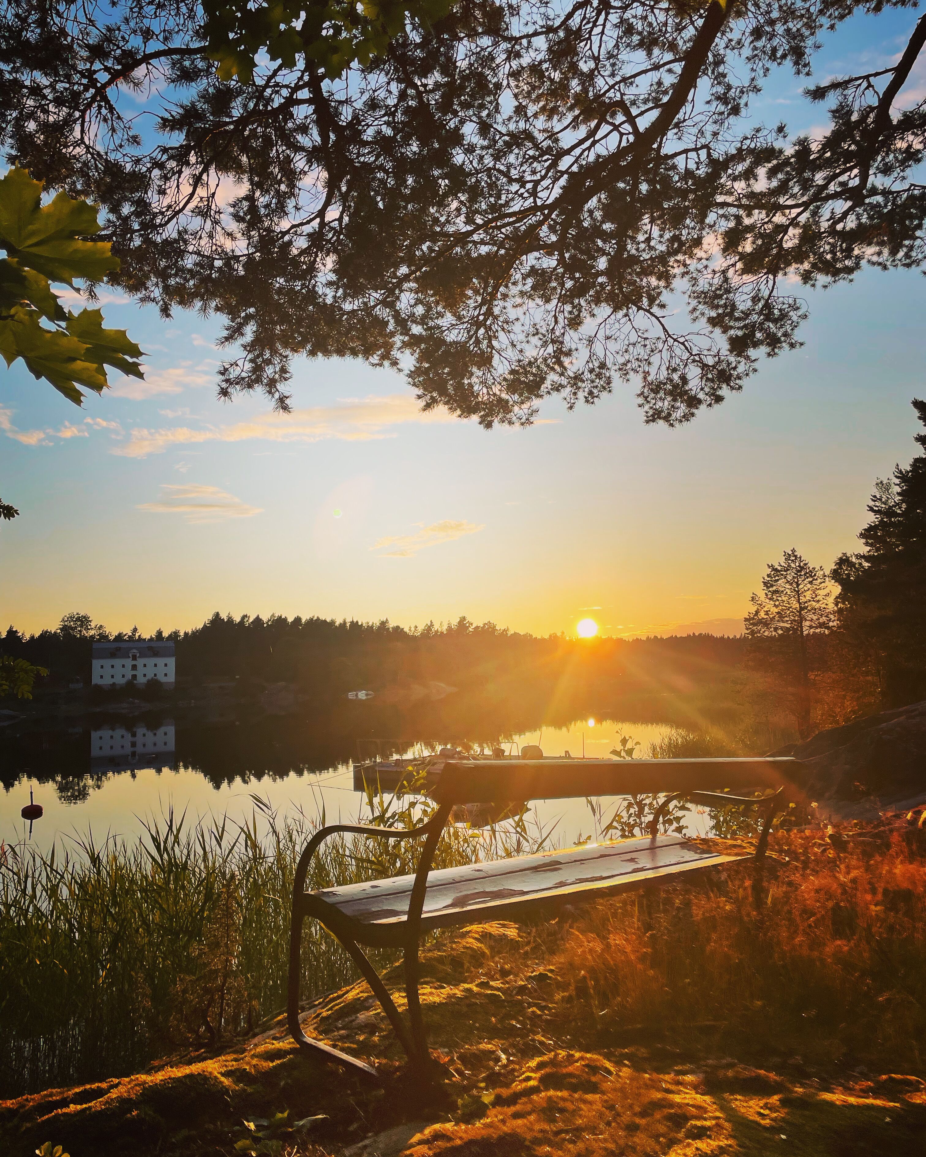 Classic Cabin, Ocean View | Property grounds