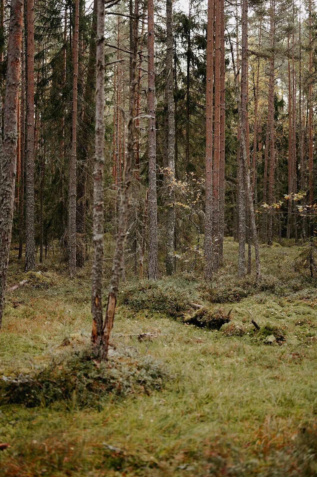 Hiking