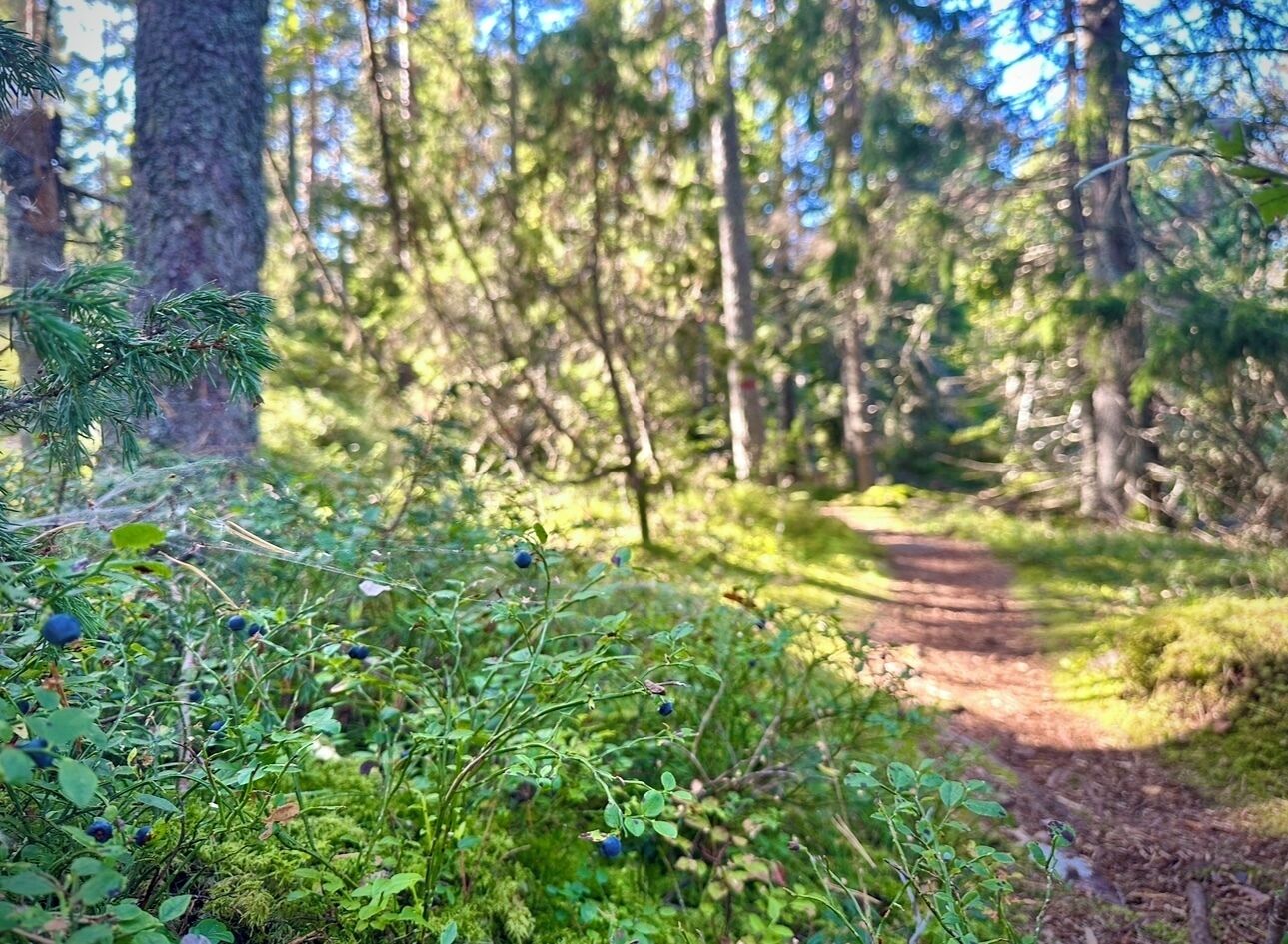 Hiking