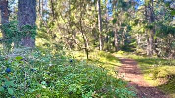 Hiking