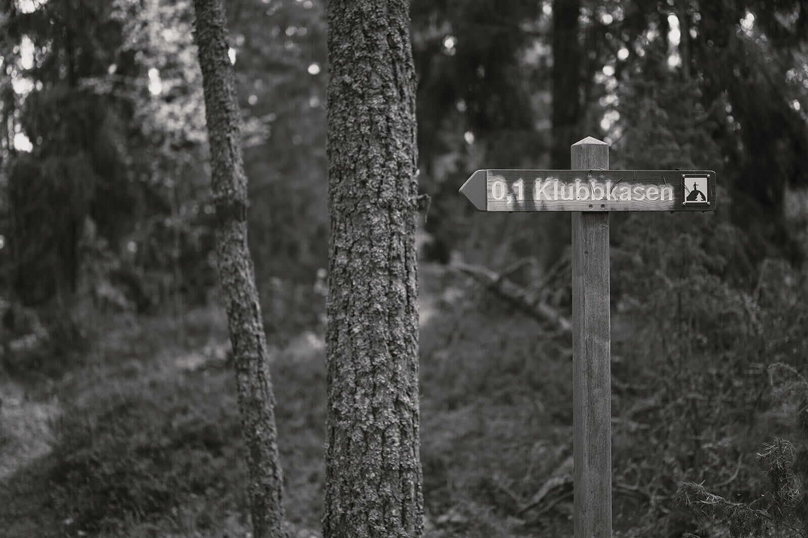Hiking