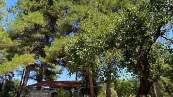 Apartment | 1 bedroom, Internet