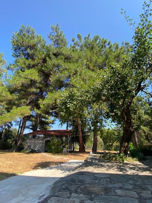 Apartamento | 1 quarto, acesso à internet de alta velocidade