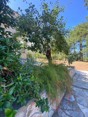 House | 1 bedroom, Internet - Anatoli Garden View - Cozy Thassos Getaway (Thasos)