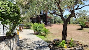 A garden with a pathway, a tree, and a building in the background. - Anatoli Garden View - Cozy Thassos Getaway (Thasos)