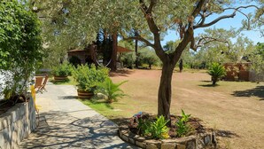 Un giardino con un vialetto, una struttura in legno e un albero grande.